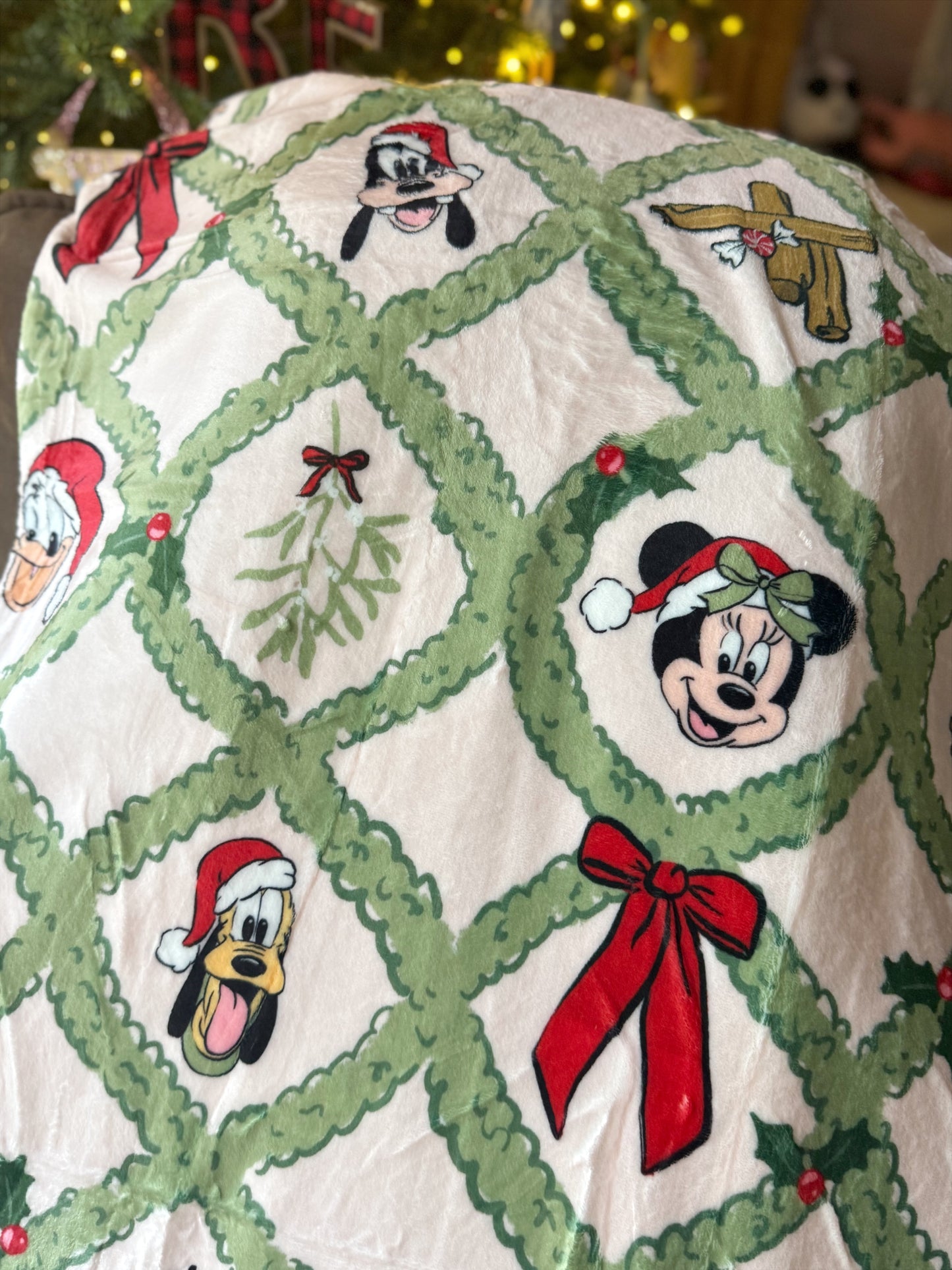 READY TO SHIP -SENSATIONAL SIX - MINKY BLANKET 50x60"