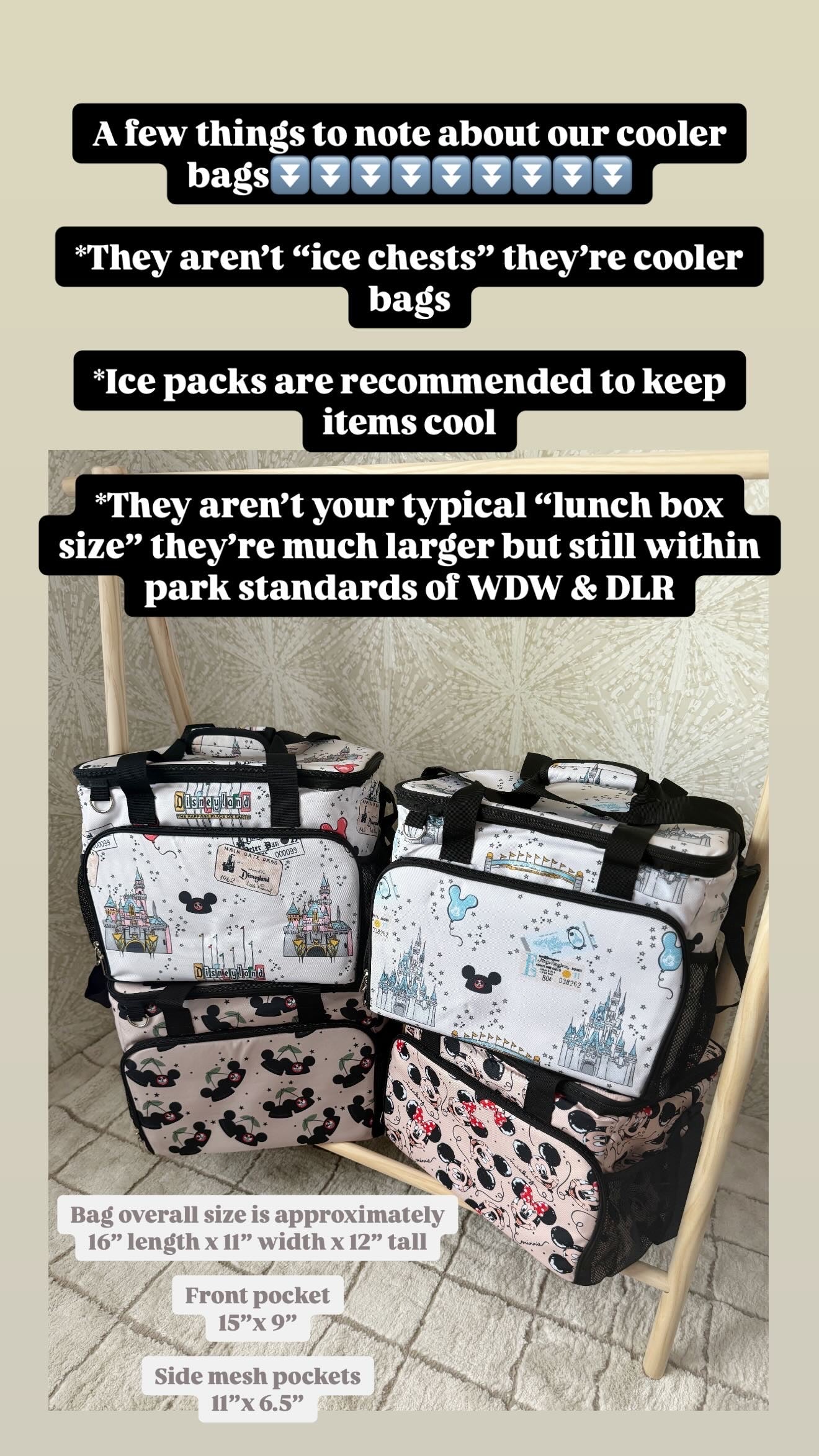 READY TO SHIP - MOUSEKETEER CHERRY HATS - INSULATED COOLER BAG